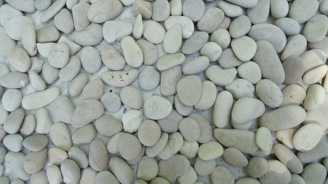 a close up of a bunch of rocks - Photo by NLX nl on Unsplash