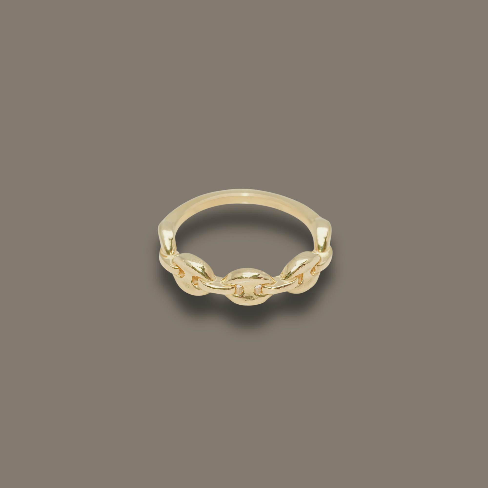 Aurelia Chain Ring in 10K Yellow Gold with polished anchor links