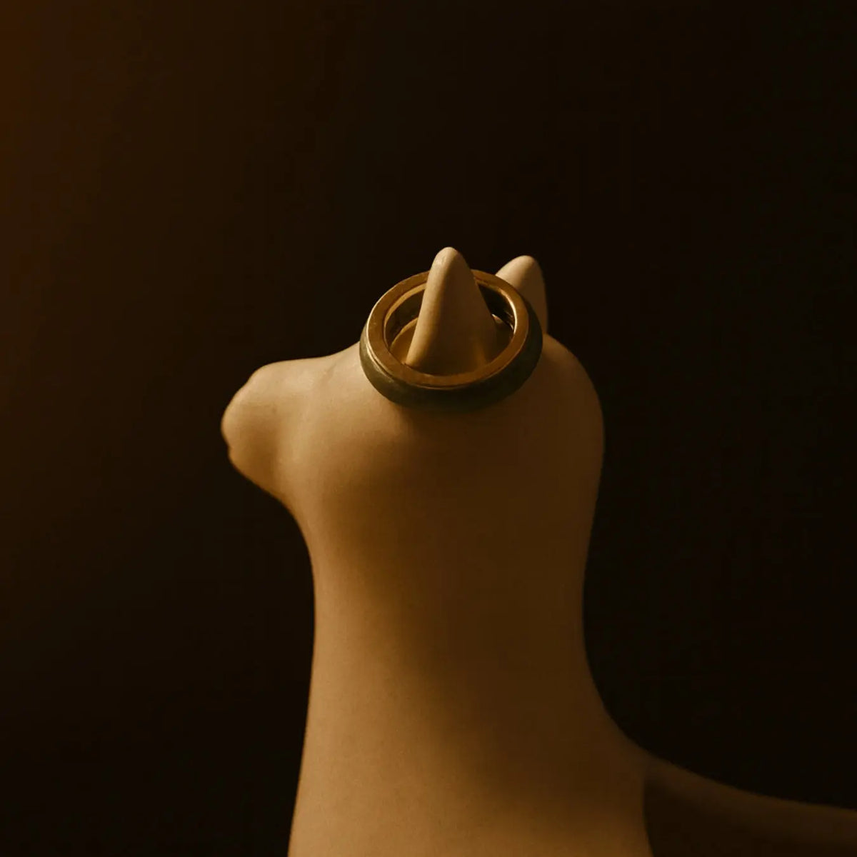 Side angle of the Jaura Ring showing thickness of gold band and setting of jadeite.